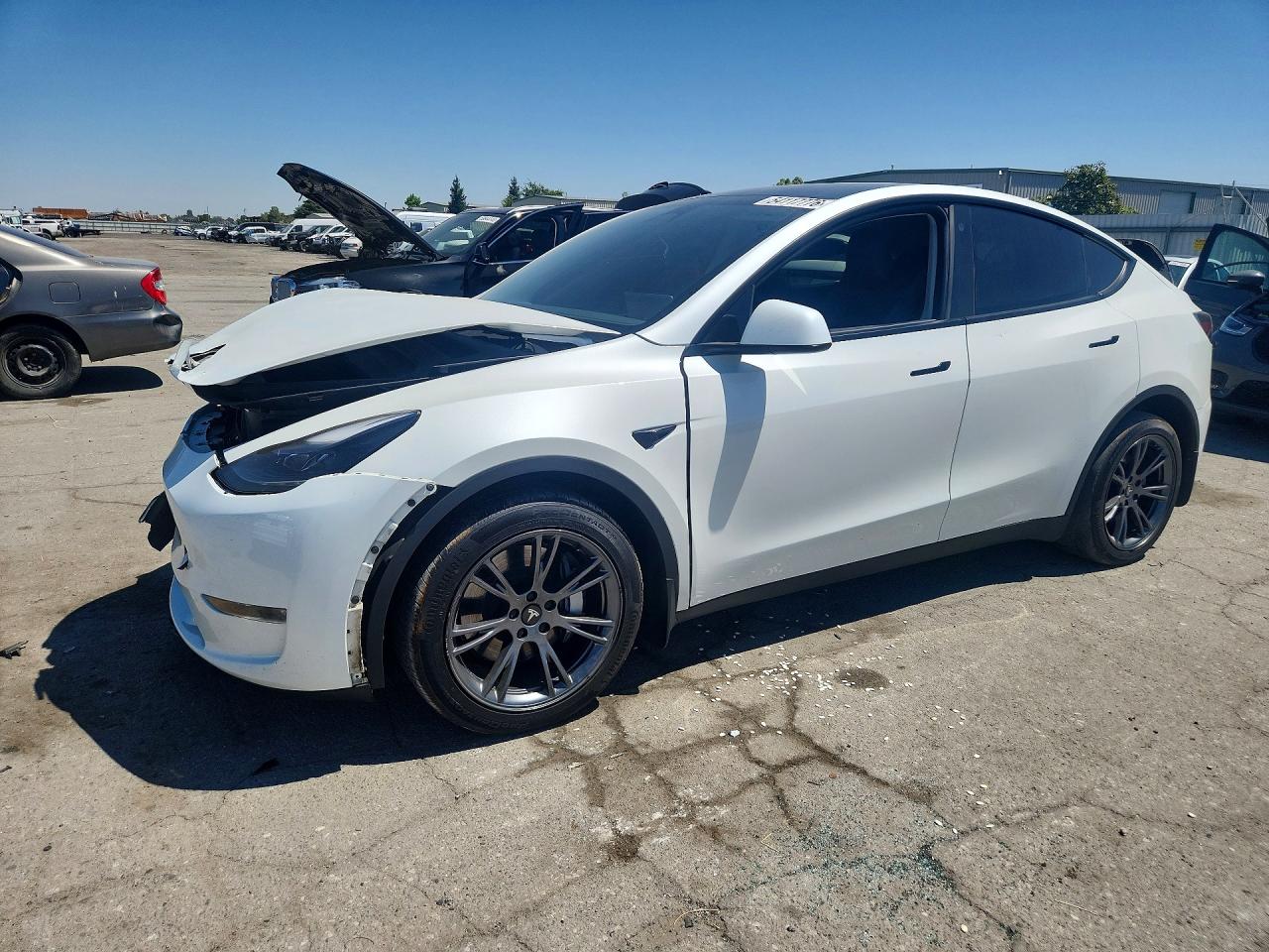 2023 TESLA MODEL Y, лот 54117776