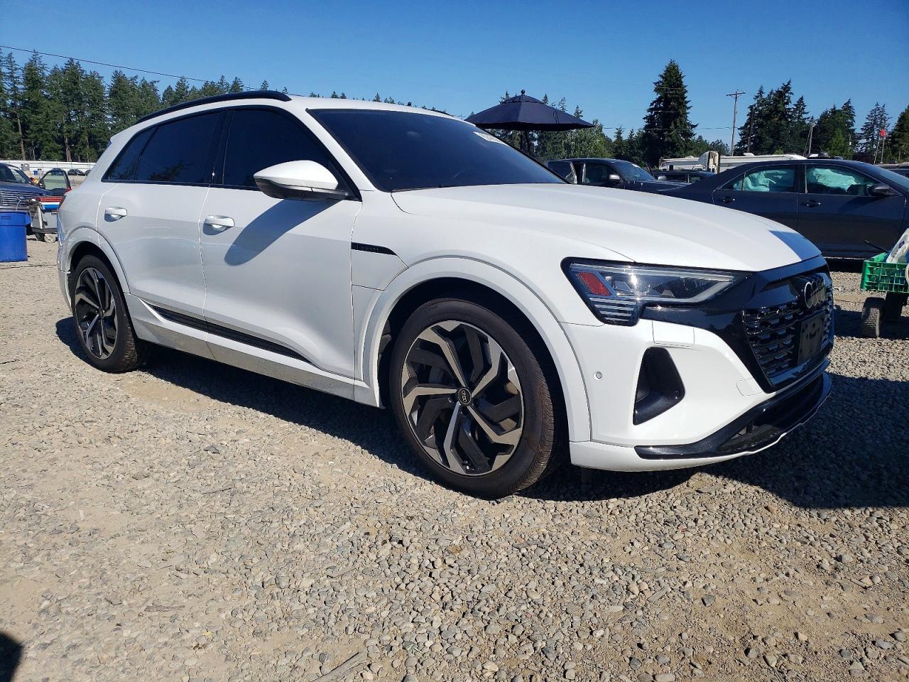 2024 Audi Q8 E Tron Prestige