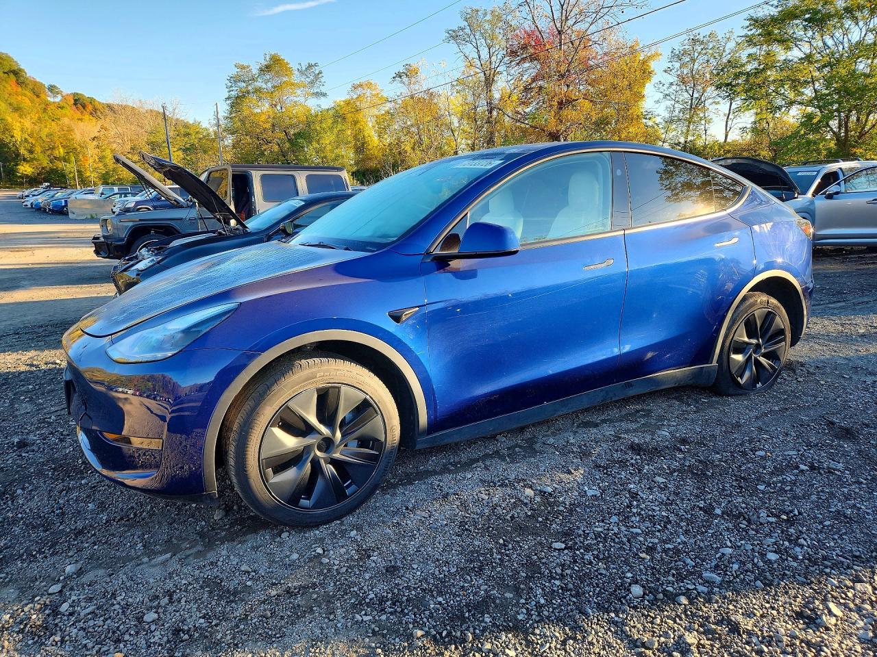 2025 TESLA MODEL Y, лот 73133726